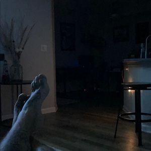 Meet your Posher, Dustin